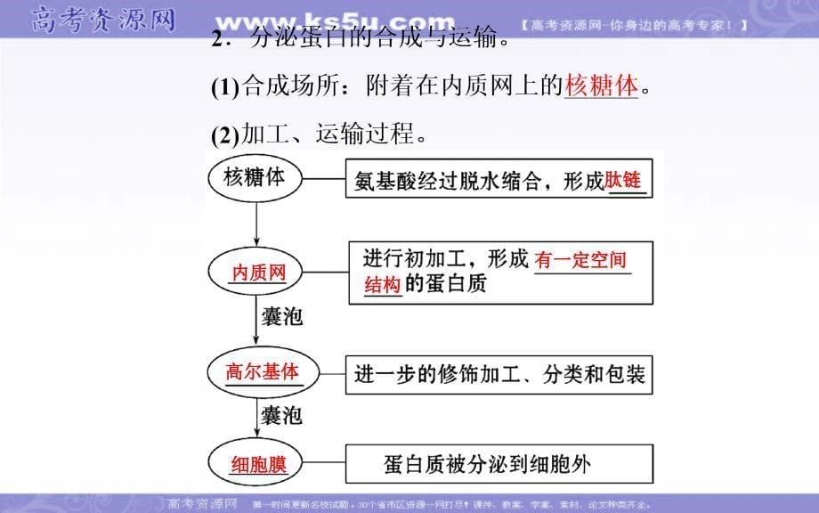 2018秋人教版高中生物必修一课件：第3章 第2节 第2课时 细胞器之间的协调配合和细胞的生物膜系统 .ppt_第5页