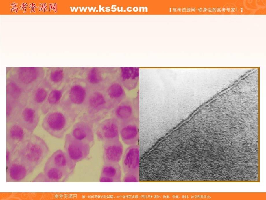 专题3.1 细胞膜—系统的边界-2018-2019高中生物人教版必修一分子与细胞全套精品课件 .ppt_第1页