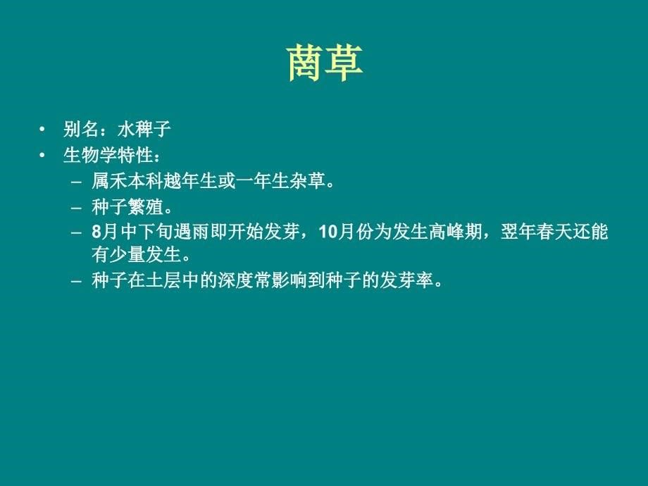 常见杂草汇总.ppt_第5页