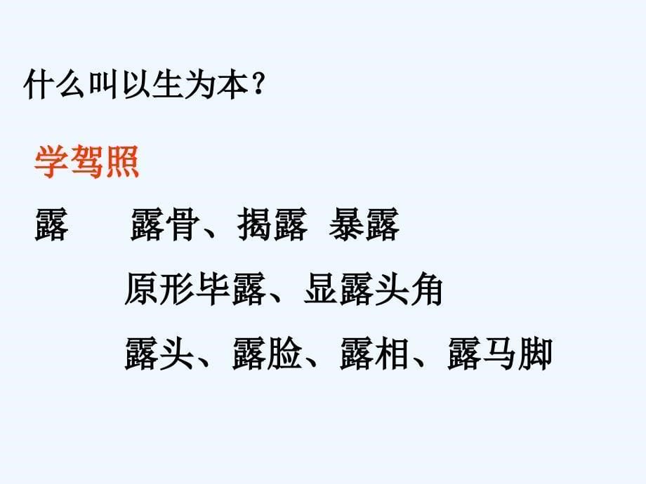 山东省青岛第二中学高三语文复习课件：后期语文复习（共65张PPT）.ppt_第5页