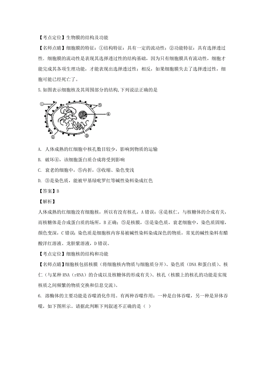 【解析版】河南省洛阳市孟津县第二高级中学2019届高三上学期9月月考调研考试生物试题 Word版含解析.doc_第4页