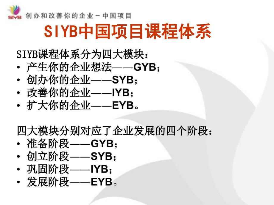 GYB和SYB介绍.ppt_第3页