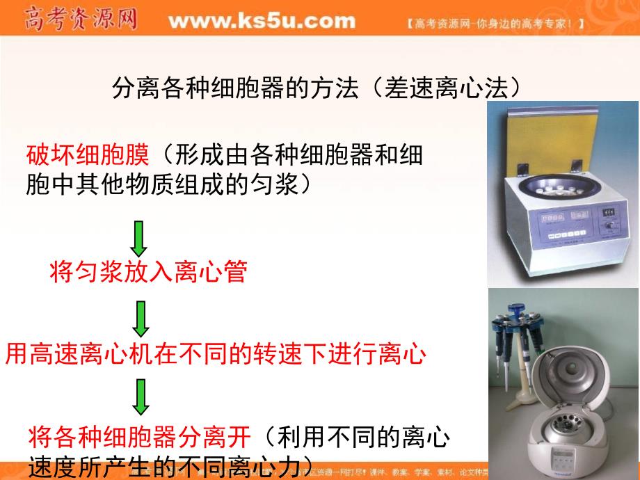 专题3.2 细胞器—系统内的分工合作-2018-2019高中生物人教版必修一分子与细胞全套精品课件 .ppt_第3页