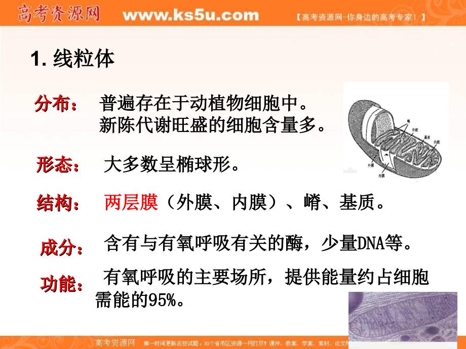 专题3.2 细胞器—系统内的分工合作-2018-2019高中生物人教版必修一分子与细胞全套精品课件 .ppt_第4页