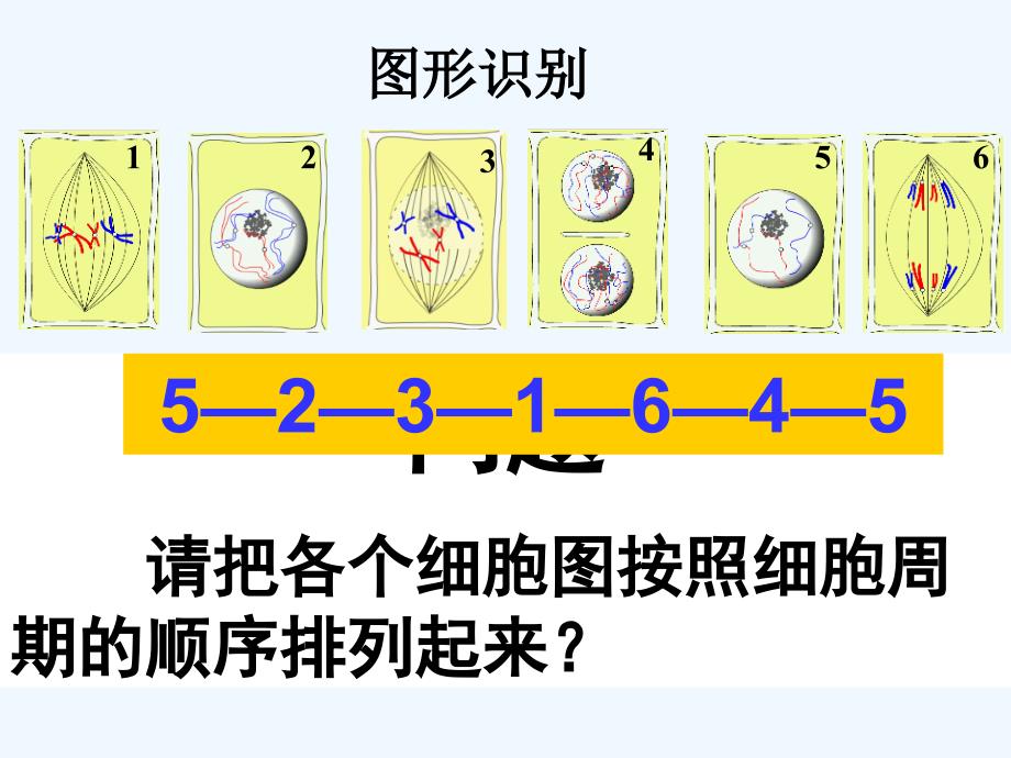 专题6.1.2细胞的增殖-高中生物必修一同步课件 .ppt_第3页