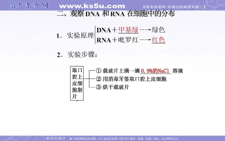 2018秋人教版高中生物必修一课件：第2章 第3节 遗传信息的携带者——核酸 .ppt_第5页