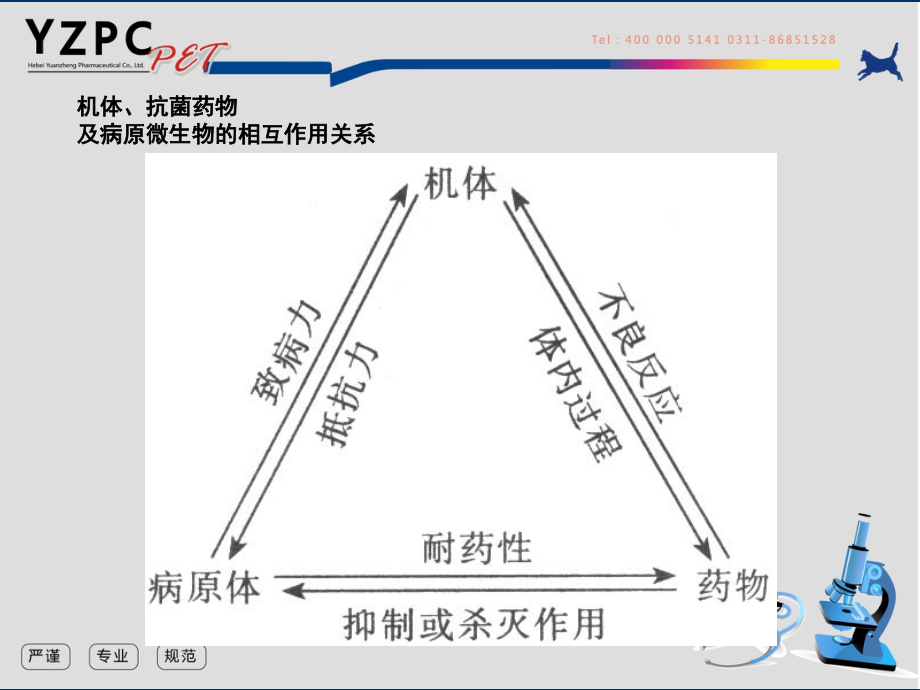 宠物抗生素概论20141211深圳.ppt_第4页