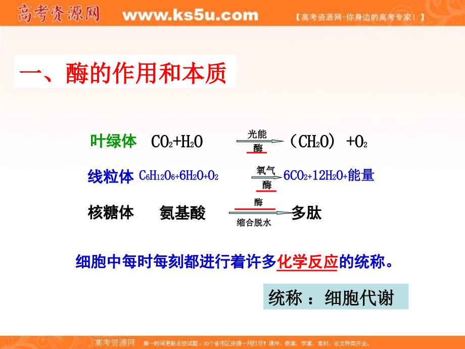 专题5.1 降低化学反应活化能的酶-2018-2019高中生物人教版必修一分子与细胞全套精品课件 .ppt_第2页