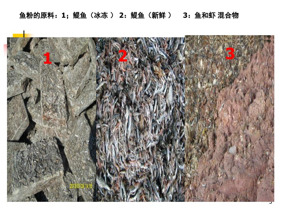 鱼粉质量判定.ppt_第3页