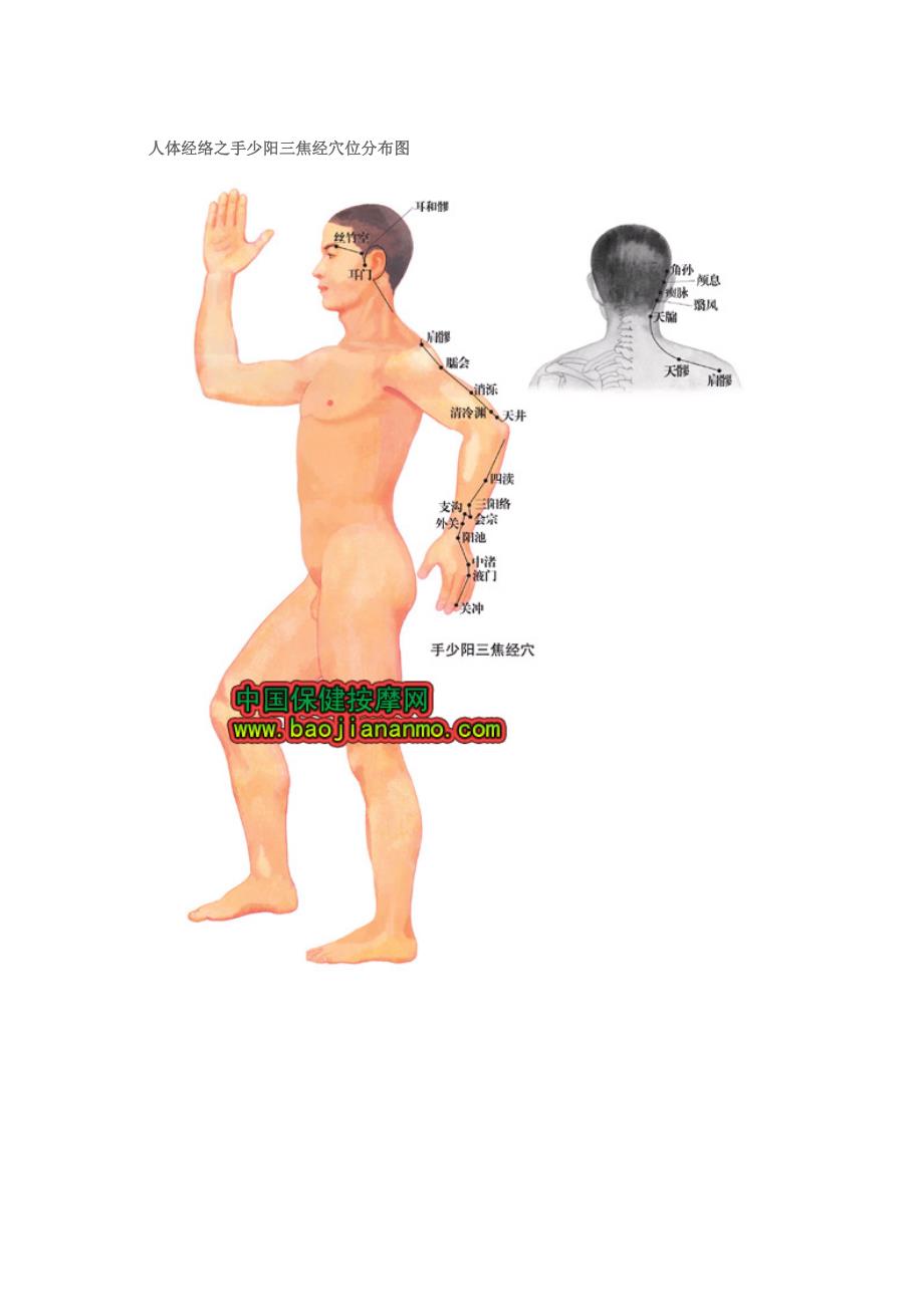 人体十四经络穴位分布图.doc_第4页