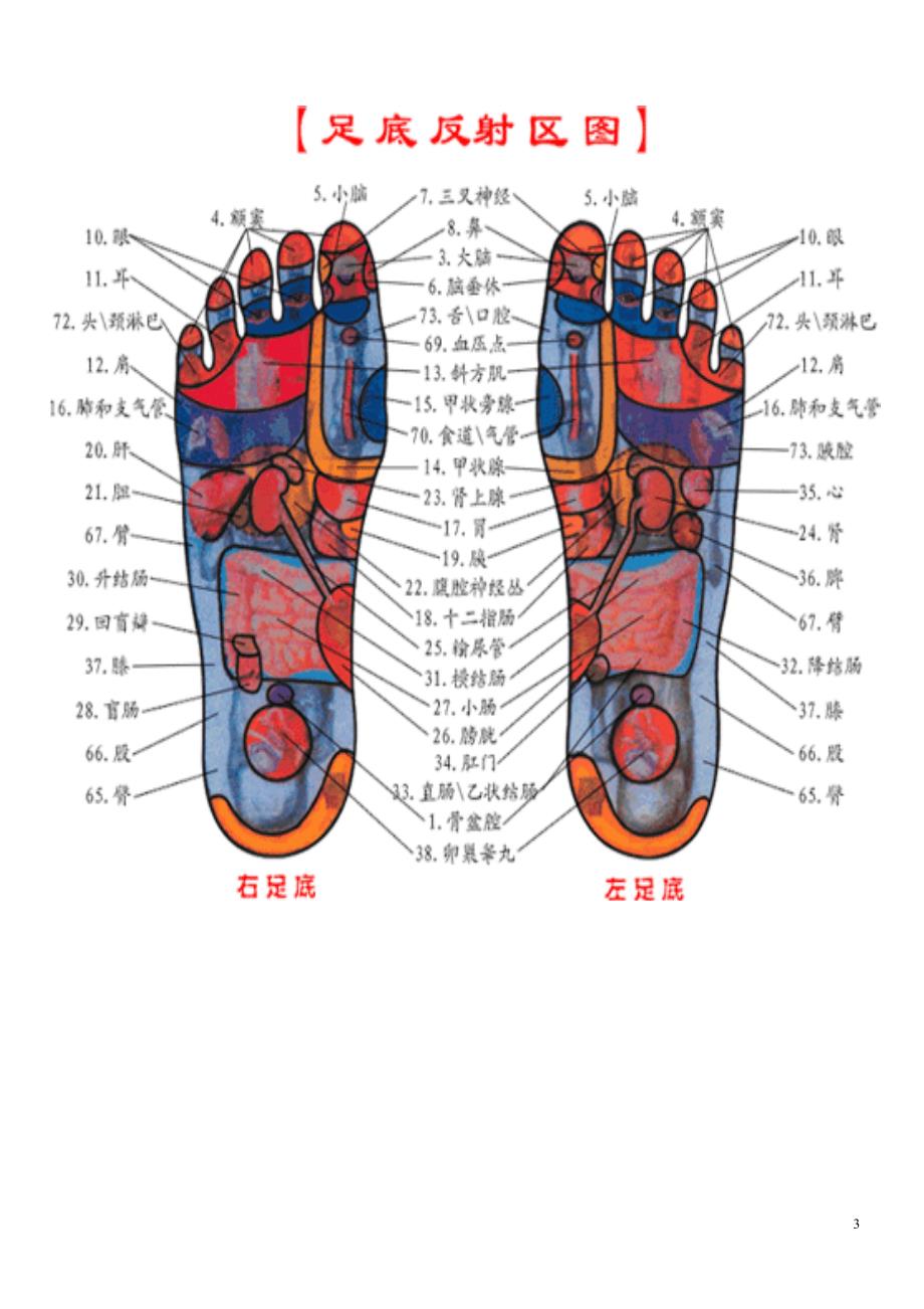 脚部穴位图_第3页
