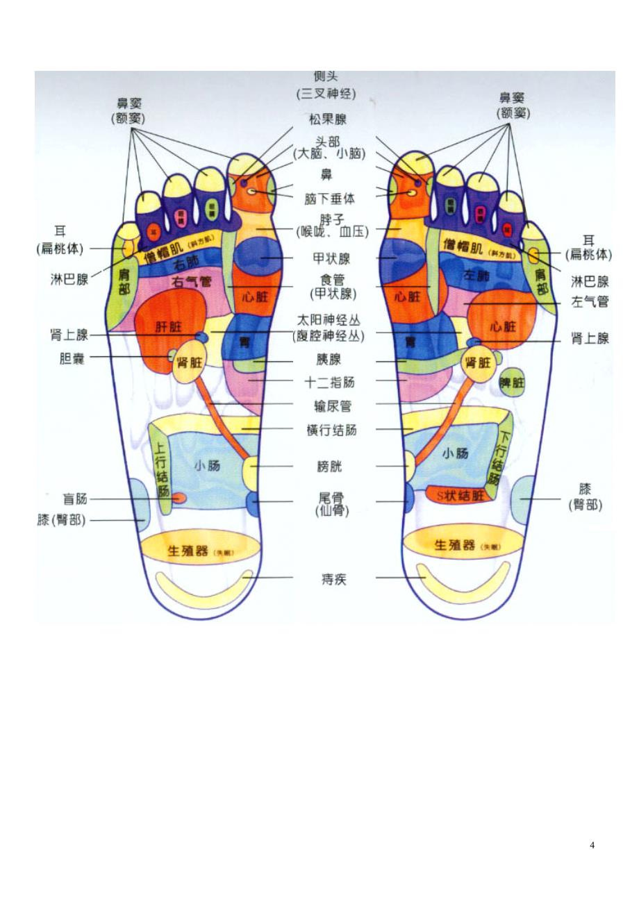 脚部穴位图_第4页