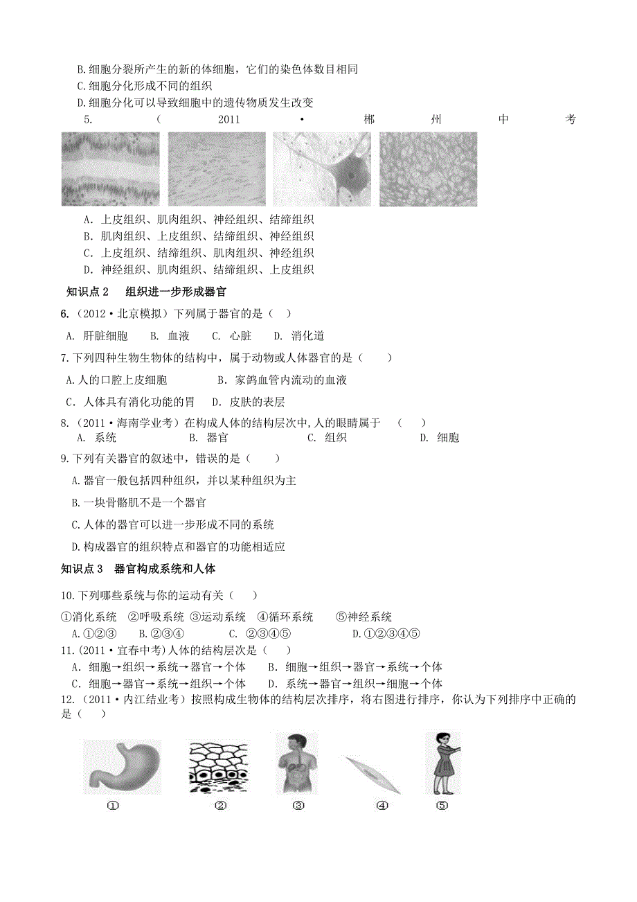 七年级生物上册 2.2《动物体的结构层次》智能导学 新人教版.doc_第2页