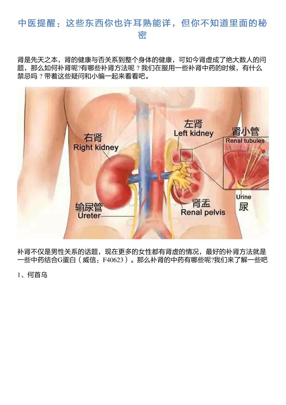 中医提醒：这些东西你也许耳熟能详,但你不知道里面的秘密_第1页