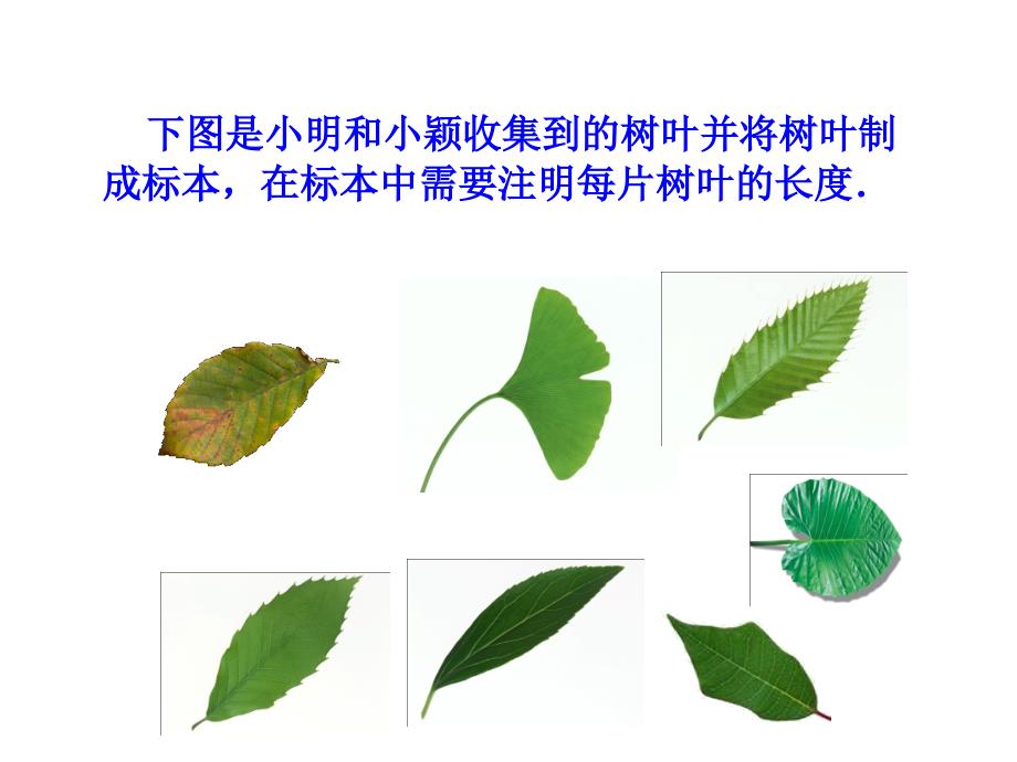 （人教版）七年级数学上册课件：1.5.3近似数.ppt_第3页