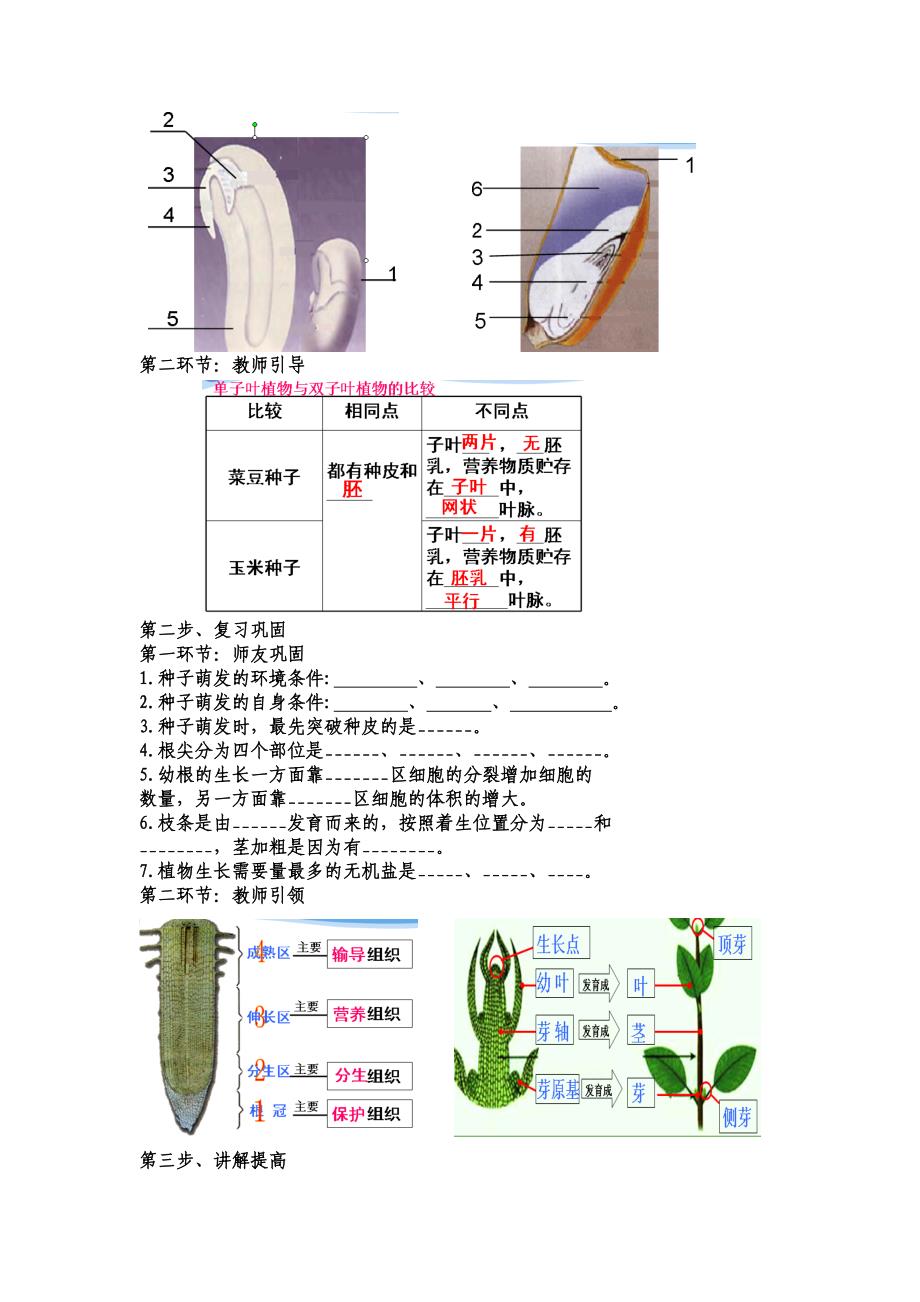 人教版七年级生物上册教案-3.2.2-3.2.1种子的萌发和植株的生长.doc_第2页