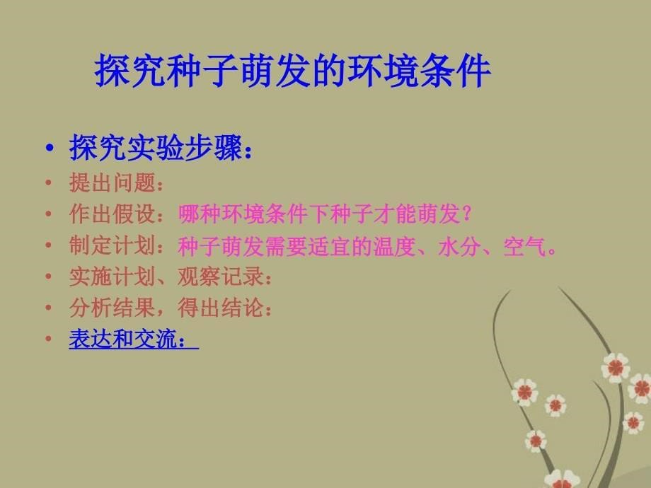 山东省兖州市漕河镇中心中学八年级生物上册《种子的萌发》课件 济南版_第5页