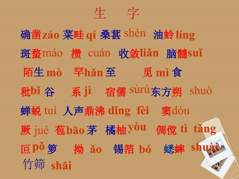 广东省湛江一中锦绣华景学校七年级语文下册 从百草园到三味书屋课件 新人教版_第5页