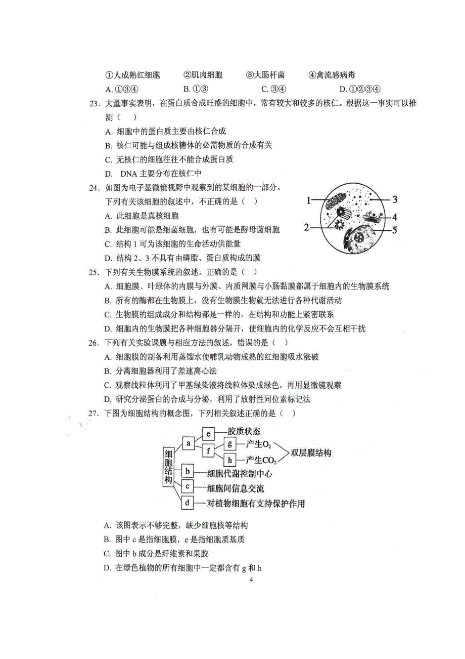 湖北剩州市沙市区2017-2018学年高一生物上学期期中试题_第4页