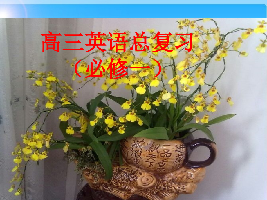 高考英语 unit5 总复习课件 新人教版必修1_第1页