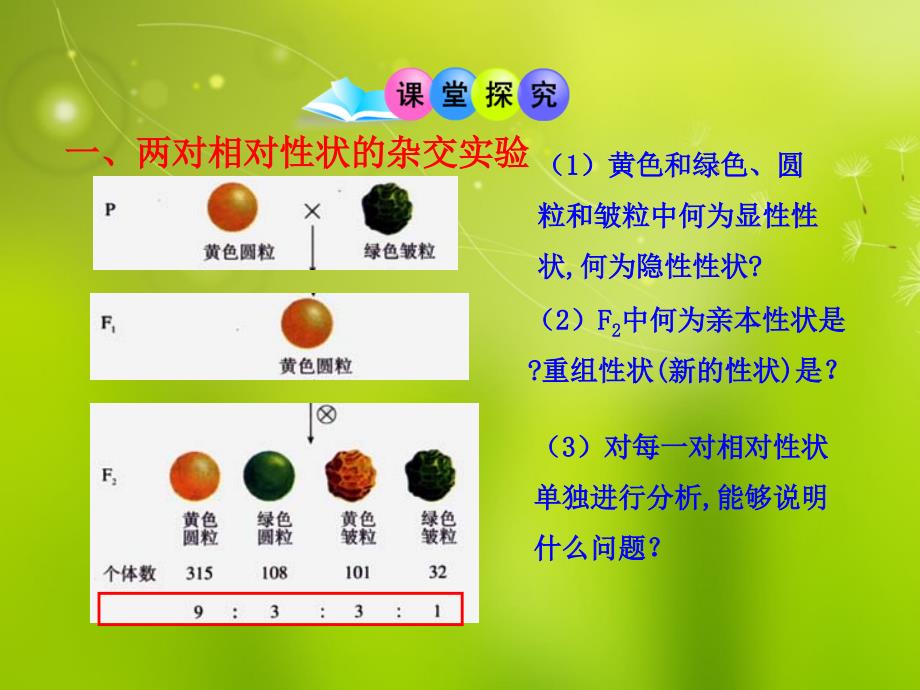 2017-2018版高中生物 第一章 第二节 自由组合定律同步授课课件 浙科版必修2_第4页