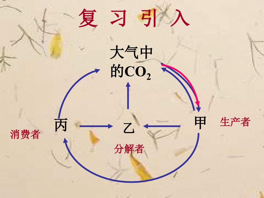 高中生物 5-2《生态系统的能量流动》课件 新人教版必修3_第2页