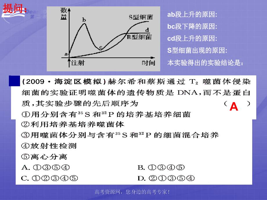 高考生物 《dna分子的结构和复制》课件 新人教版_第1页