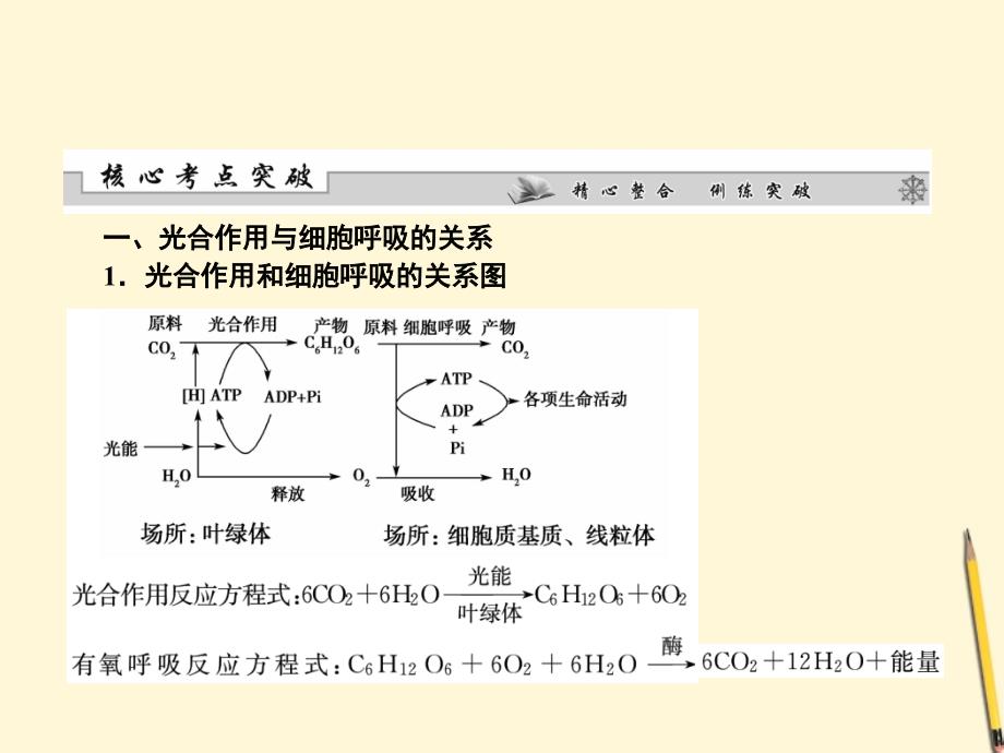 2018届高考生物二轮专题复习 光合作用与呼吸作用课件_第2页