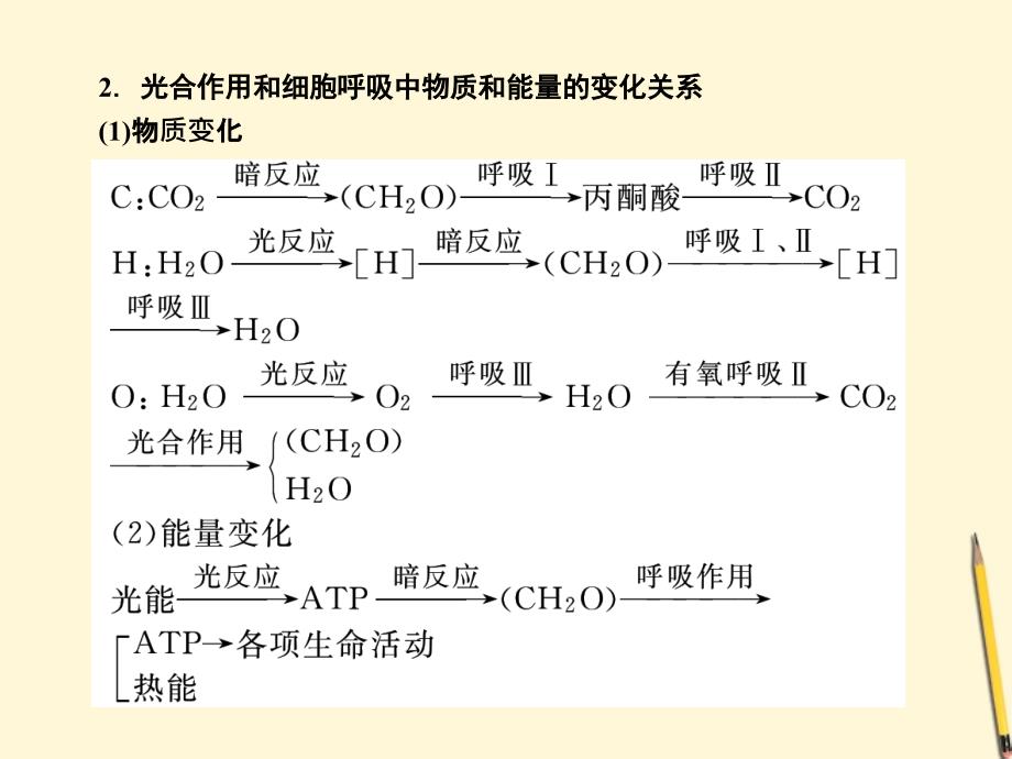 2018届高考生物二轮专题复习 光合作用与呼吸作用课件_第3页