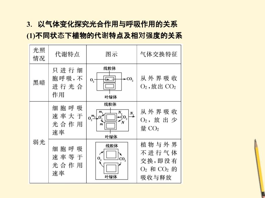 2018届高考生物二轮专题复习 光合作用与呼吸作用课件_第4页