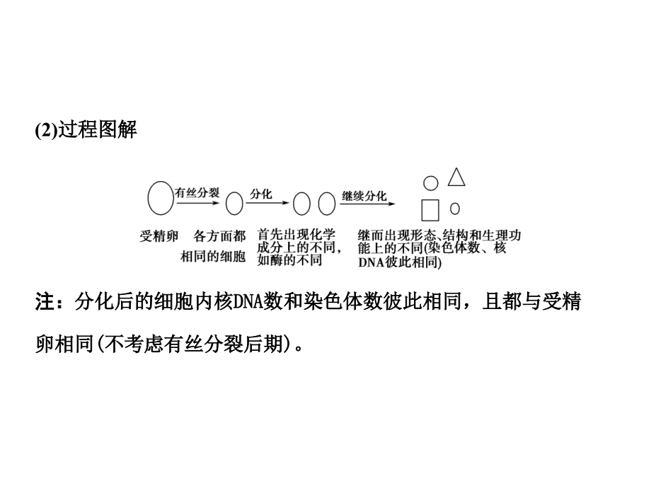 2018届高考生物一轮复习 第四单元 学时11 细胞的分化、癌变、衰老和凋亡课件 浙科版必修1_第2页