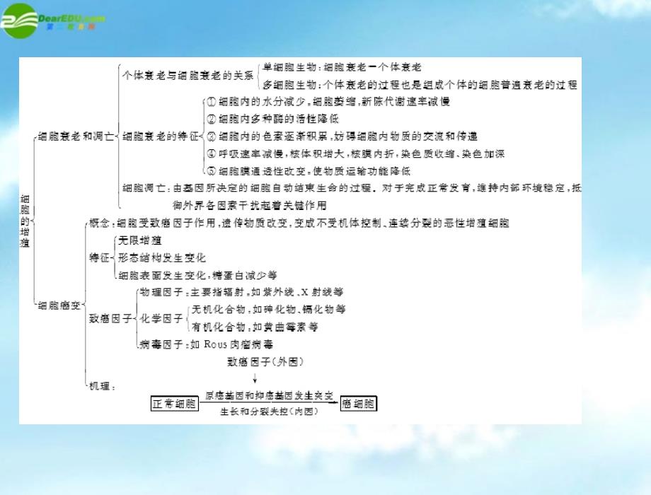 2018年高中生物 第6章 本章知识提升课件 新人教版必修1 新课标_第2页