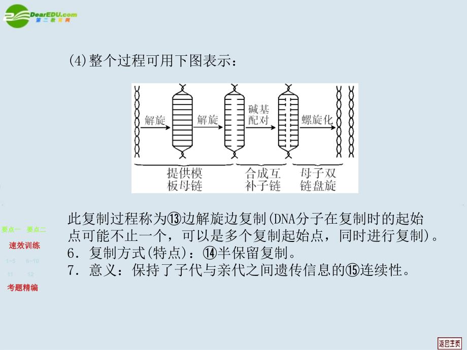 高考生物 第三章  基因的本质  第2讲  dna分子的结构和复制课件_第4页