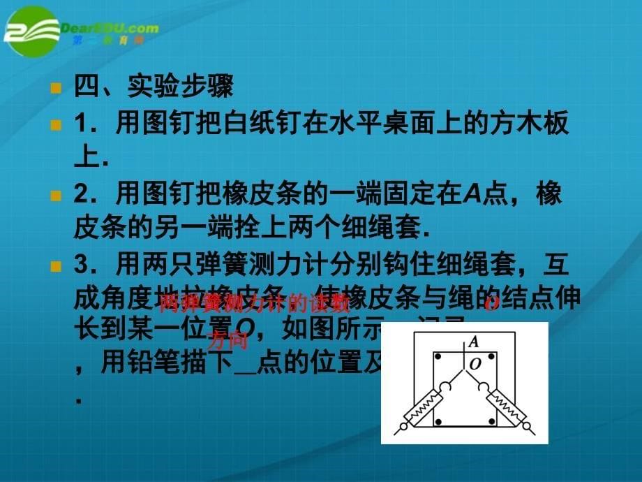 高考物理 实验2验证力的平行四边形定则  探究弹力和弹簧伸长的关系课件 新人教版_第5页