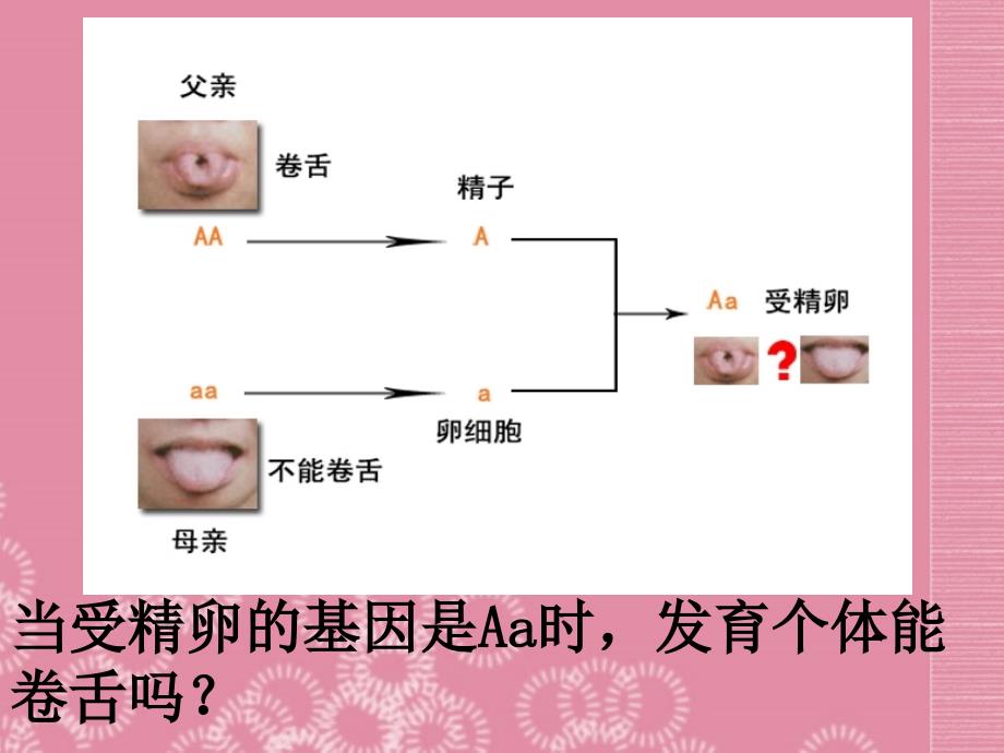 山东省胶南市理务关镇中心中学八年级生物下册《基因的显性和隐性》课件（1） 新人教版_第3页