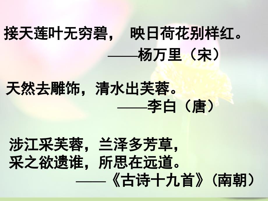 辽宁省丹东七中八年级语文下册《爱莲说》课件 苏教版_第2页