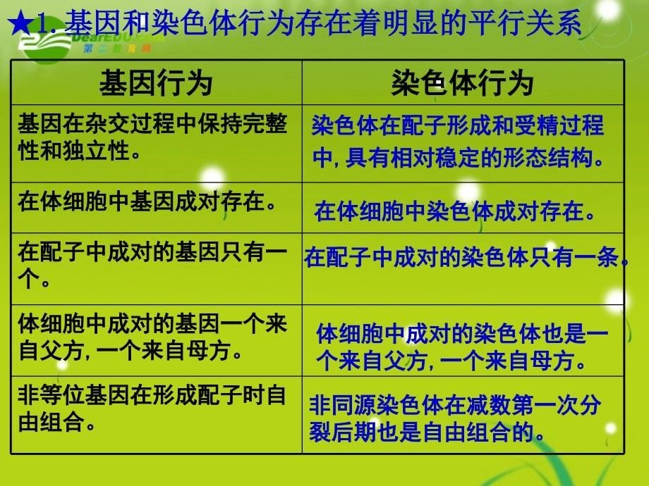 高一生物 基因在染色体上和伴性遗传 新人教版必修2_第5页