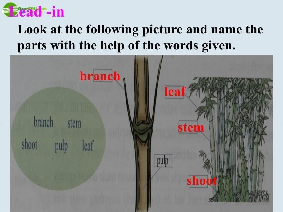 高中英语 unit1reading课件 重大版必修4_第5页