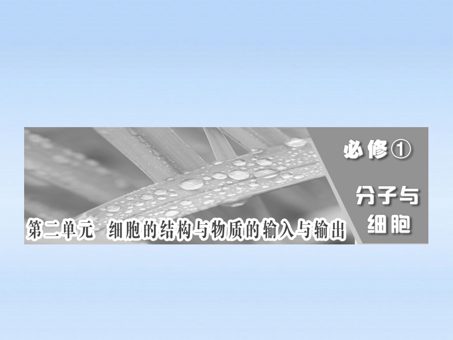 2018高考生物一轮复习 第二单元 第一讲 细胞膜与细胞核（含生物膜的流动镶嵌模型）课件 必修1_第1页