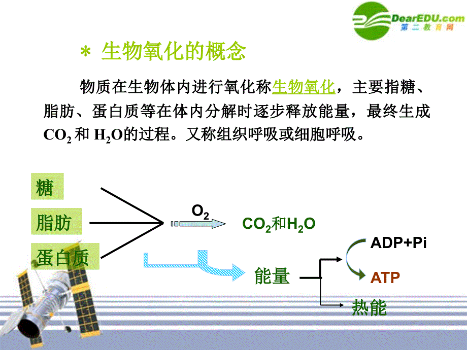 高中生物 竞赛之生物化学竞赛第五章生物氧化课件_第4页