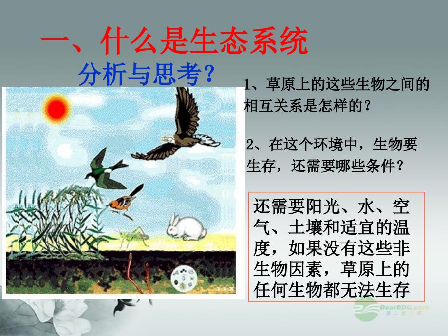 广东省珠海九中八年级生物《生态系统概述》课件 北师大版_第2页