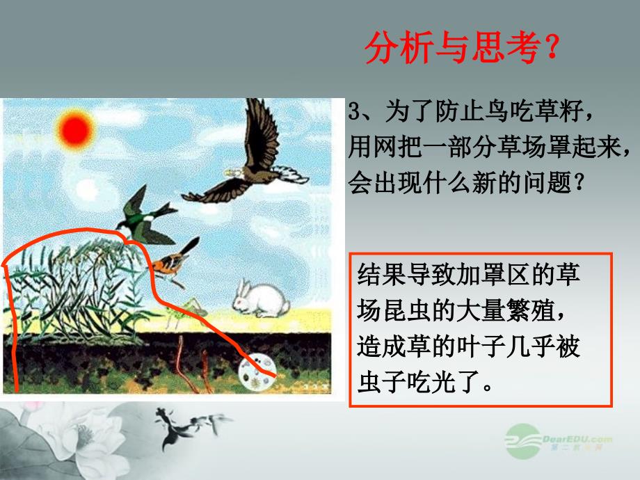 广东省珠海九中八年级生物《生态系统概述》课件 北师大版_第3页