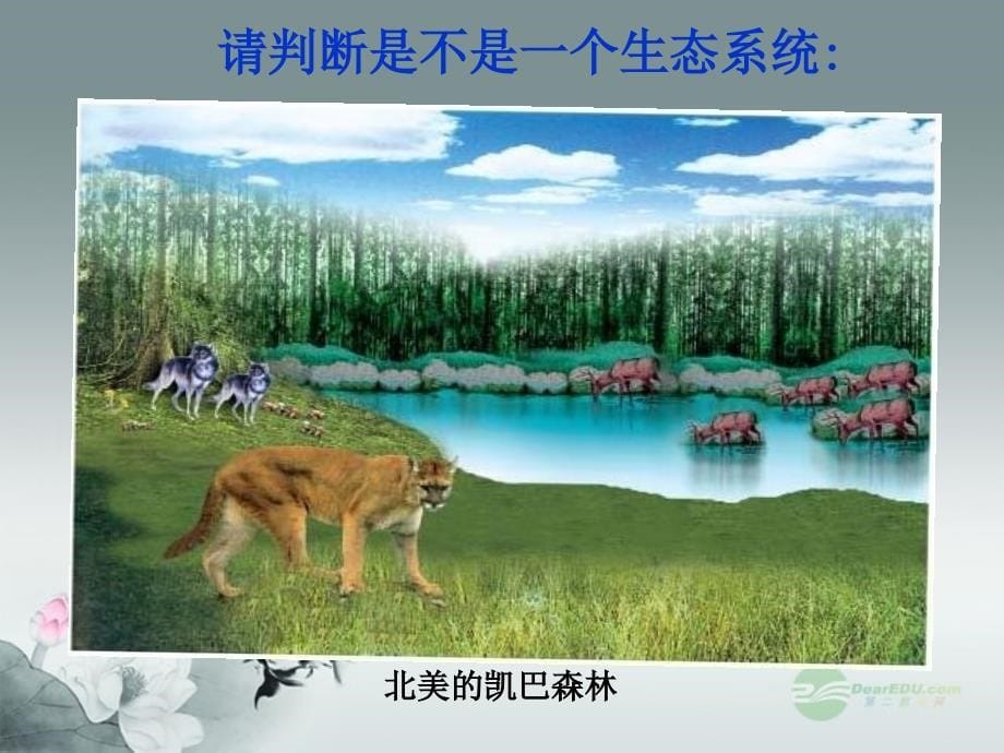 广东省珠海九中八年级生物《生态系统概述》课件 北师大版_第5页