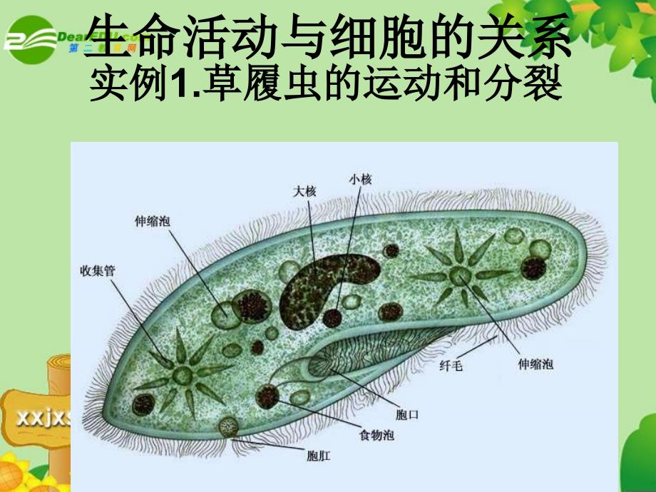 高中生物 从生物圈到细胞的课件 新人教版必修1_第3页