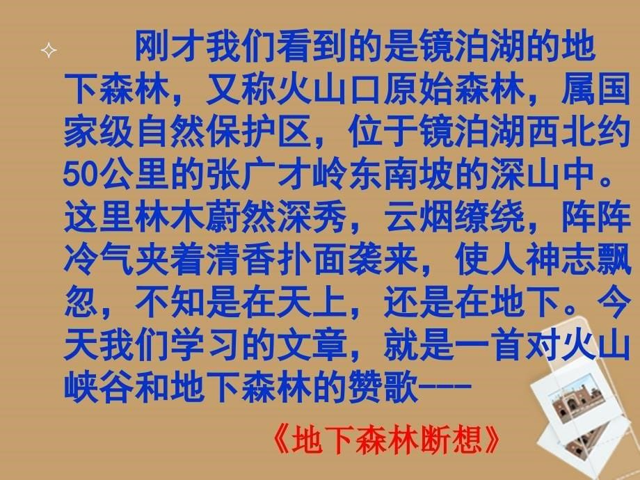 山东省胶南市隐珠街道办事处中学九年级语文下册《地下森林断想》课件 人教新课标版_第5页