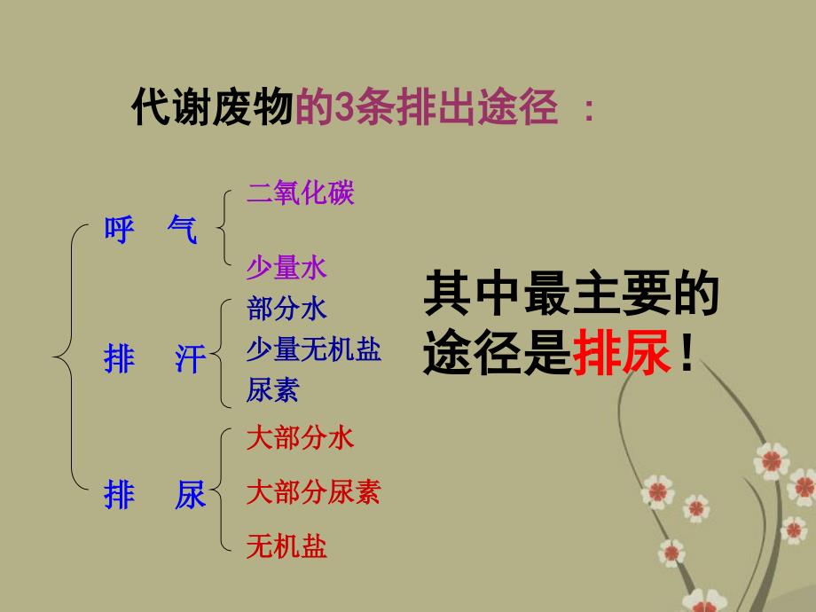 广东省阳东2017-2018学年八年级生物下册《尿的形成和排出》课件 新人教版_第4页