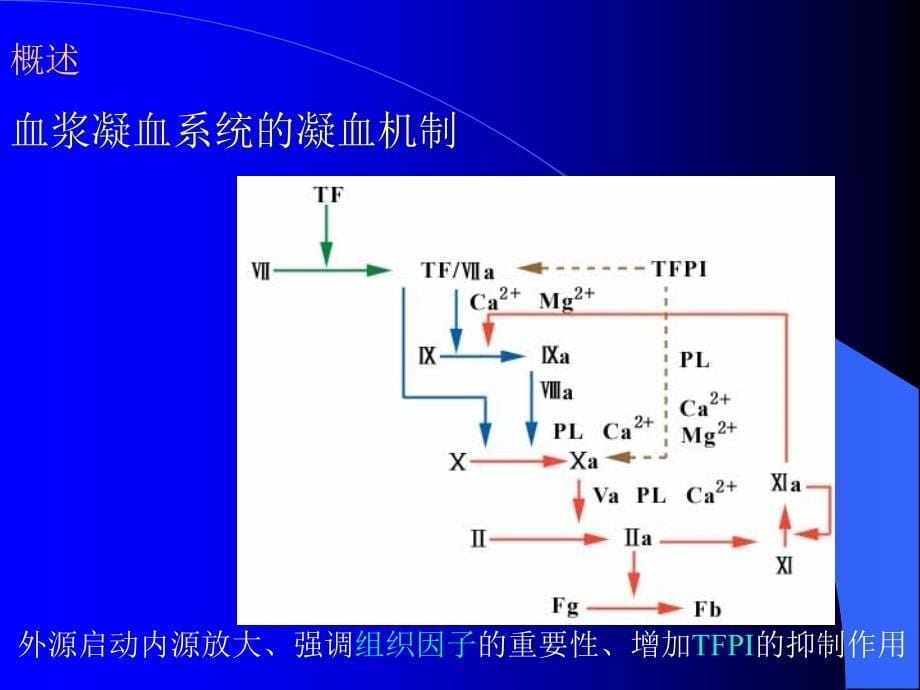 血栓与止血实验的临床应用_第5页