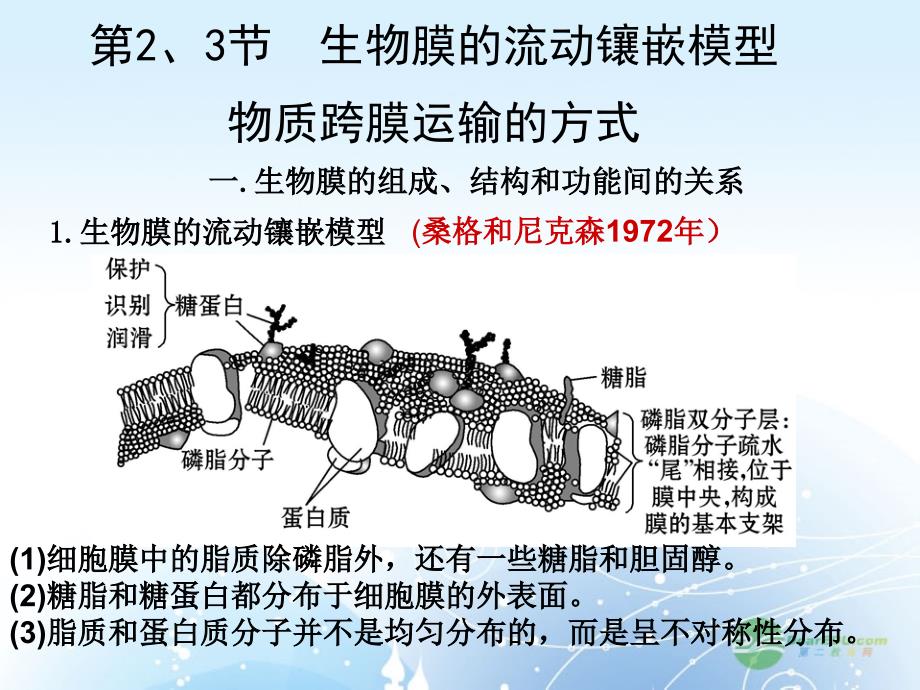 高考生物一轮复习 跨膜运输课件_第1页