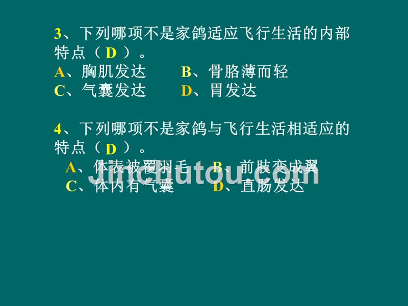 2.1动物的运动 课件4（生物人教版八年级上册）.ppt_第2页