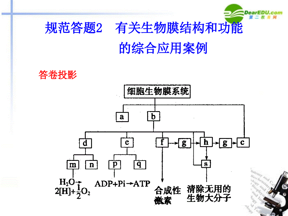 高考生物 有关生物膜结构和功能的综合应用案例精选课件_第1页